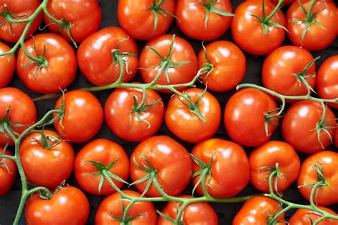 From Farm to Fiasco: A Fantastic Witch's Recipe for Disaster with Tomatoes